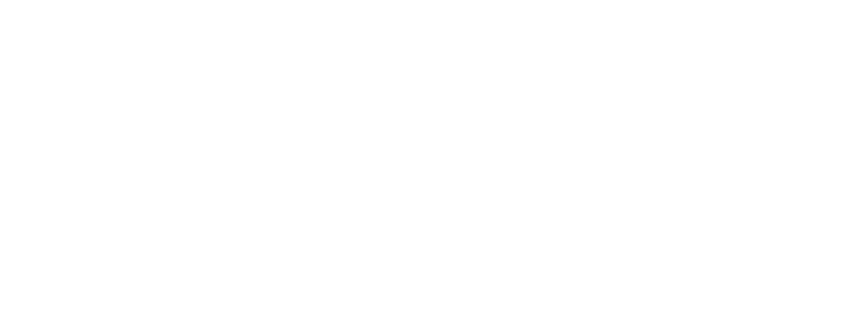Mauro Andriola Camiones